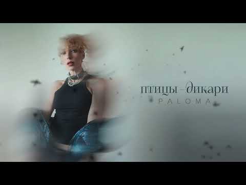 PALOMA - птицы - дикари