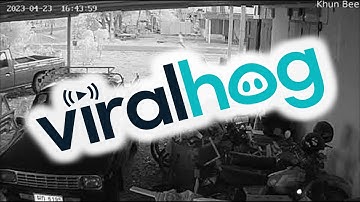 Security Camera Captures Tree Falling on House During Intense Storm || ViralHog