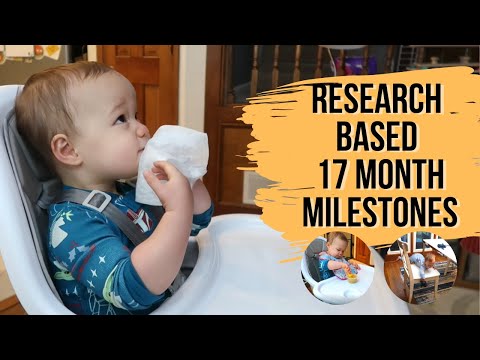 17 MONTH OLD DEVELOPMENT ACTIVITIES | Research-Based Milestones for Your Toddler