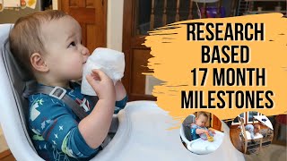 17 MONTH OLD DEVELOPMENT ACTIVITIES | ResearchBased Milestones for Your Toddler