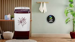 Voltas Beko | 7.5 Kg Semi Automatic Washer WST75BBRT | Burgundy