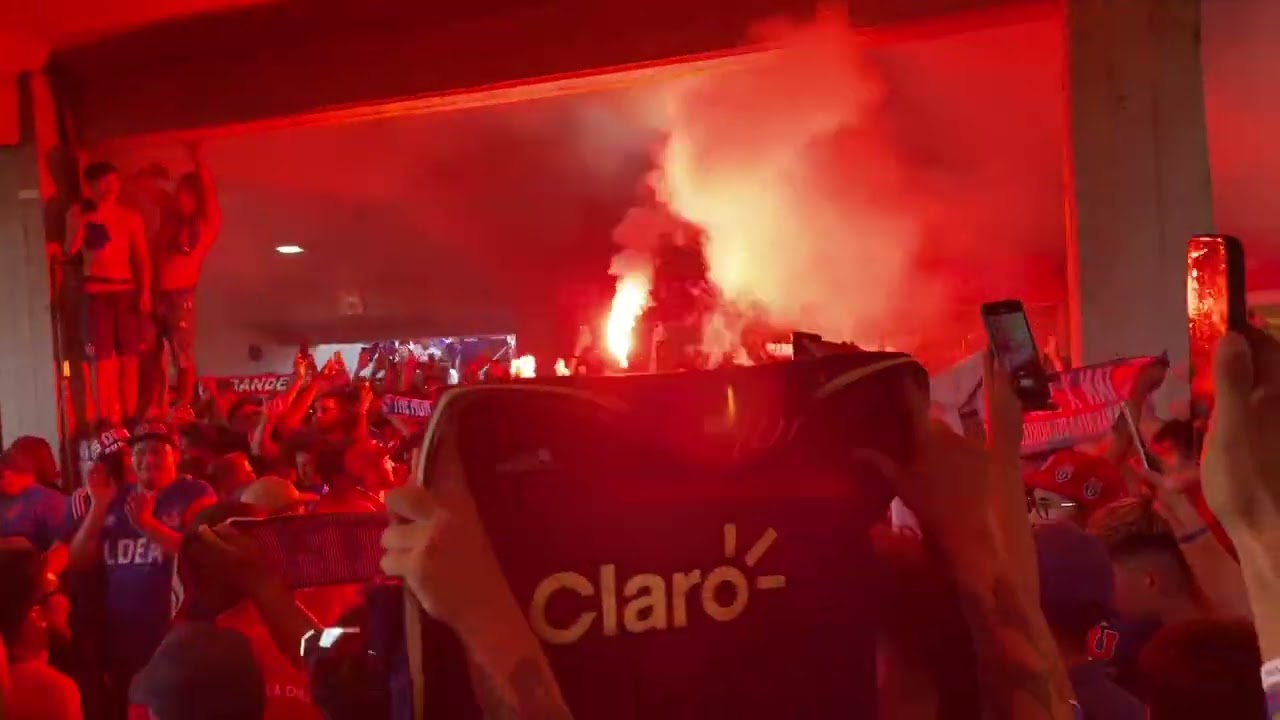 Ñuñoa todo el año es carnaval- los de abajo - universidad de chile vs Audax italiano - fecha 2/ 2024