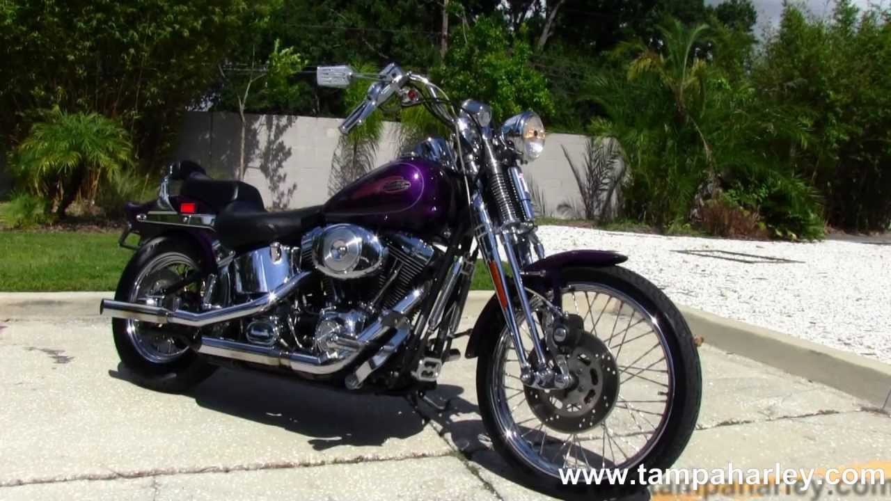  Used  2000 Harley  Davidson  FXSTS Softail  Springer 