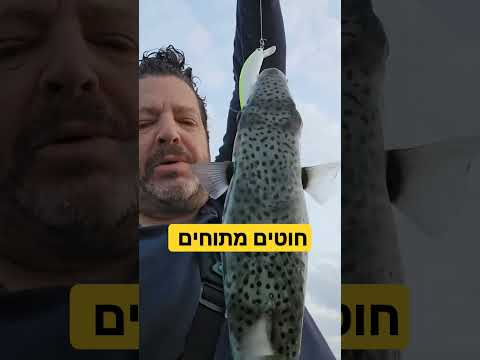אבו נפחא שנתן פייט רציני והשתולל 