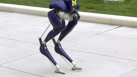 University of Michigan expert puts rare bird-like robot through its paces