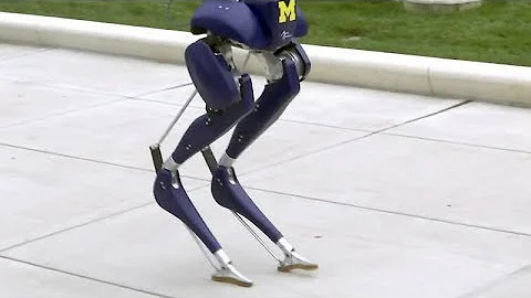 University of Michigan expert puts rare bird-like robot through its paces