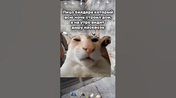 #rust #rustgame #rustchad #rustmoments #rustfunnymoments #раст #memes #мем #юмор