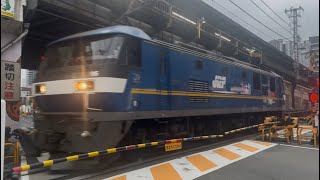 EF210-306号機[吹]+EF210-310号機[吹]牽引　高速貨物列車