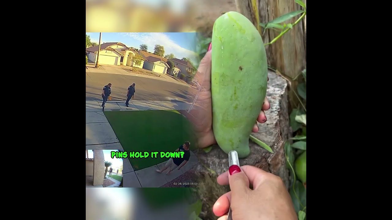 He Presented Hard Evidence But Cops Still Weren T Convinced Captured On Ring Doorbell