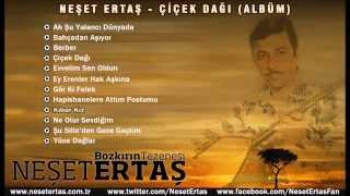 Neşet Ertaş - Kibar Kız