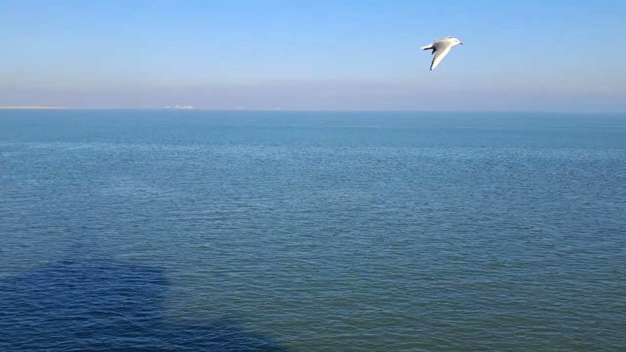 vlog overtocht van den helder naar texel met  de veerdienst van teso