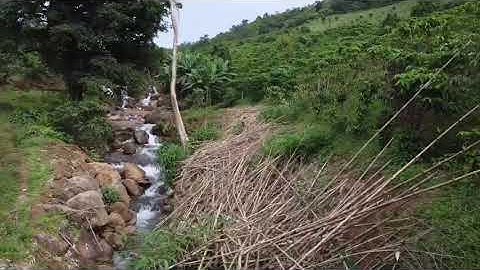 Đất ngộp view thác - suối đá 5123 m2  huyện bão lâm