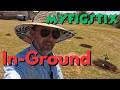 We Planted 5 Fig Trees… In Ground! (New Fig Addict Incoming 😄)