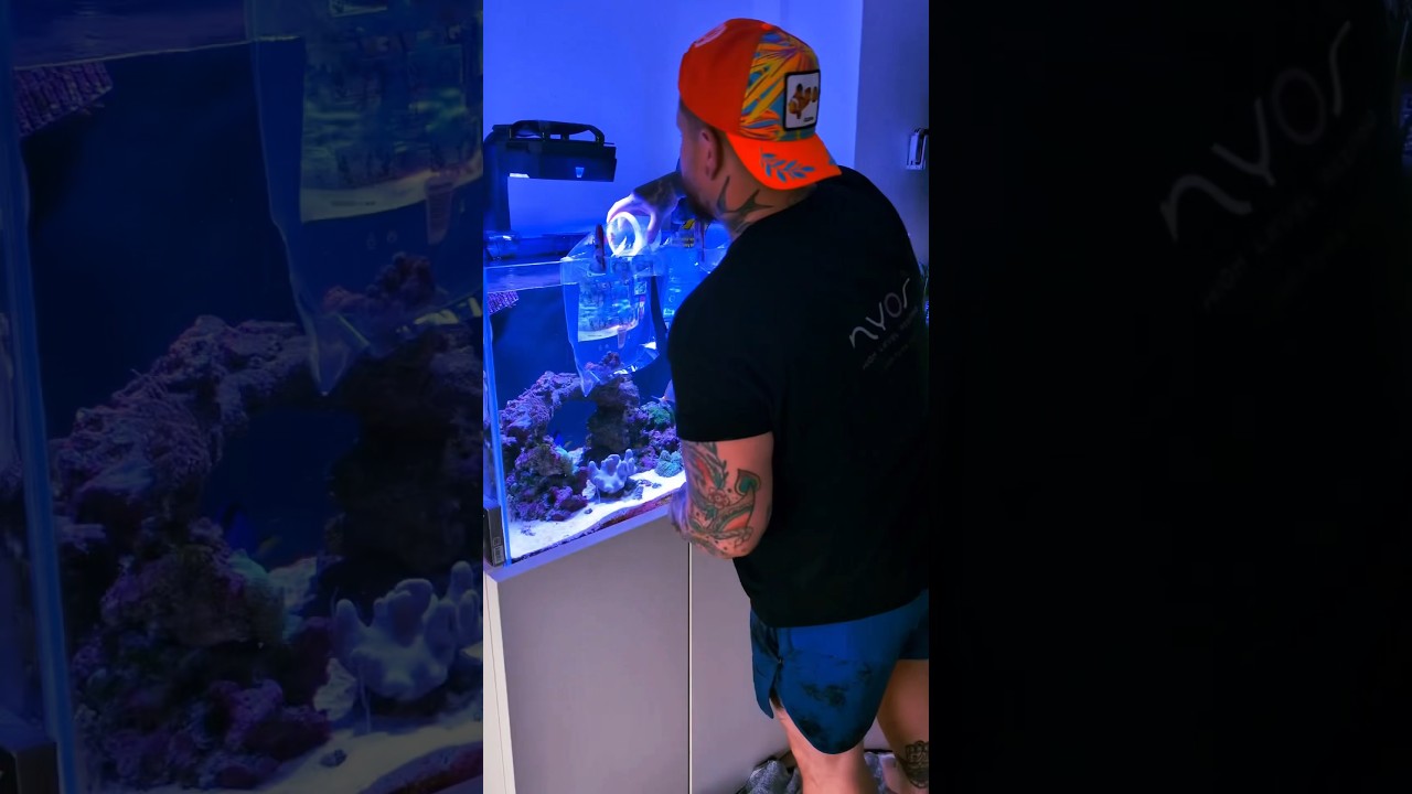 Adding New Coral To My Reef Tank! 