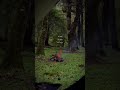 #nature #peaceful #mood #viral #reels