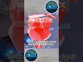 【小ネタ】サイファーならではキルパターン #shorts