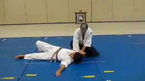 Hanmi Handachi Katatetori Shihonage Ura (static attack, side view)