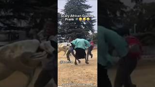 African granny prank😂😂🤣🤣 #prank #funny #trynottolaugh #viral l