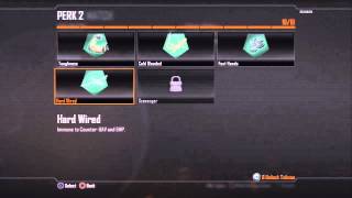 Black Ops 2: Some great Create-A-Class Combinations!