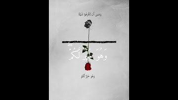 (وعسى أن تكرهوا شيئًا وهو خير لكم )  قرآن كريم القارئ الشيخ ياسر الدوسري سورة البقرة