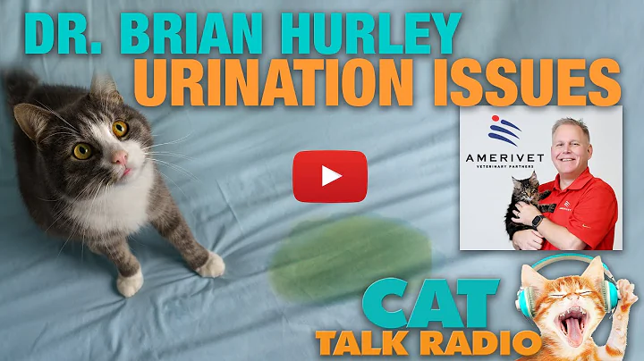 Cat Talk Radio - Urination Issues with Dr. Brian H...
