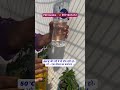 Garmi me paudhe murjha rahe hain? Try karo yeh simple