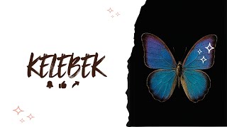 Morf-Kelebek