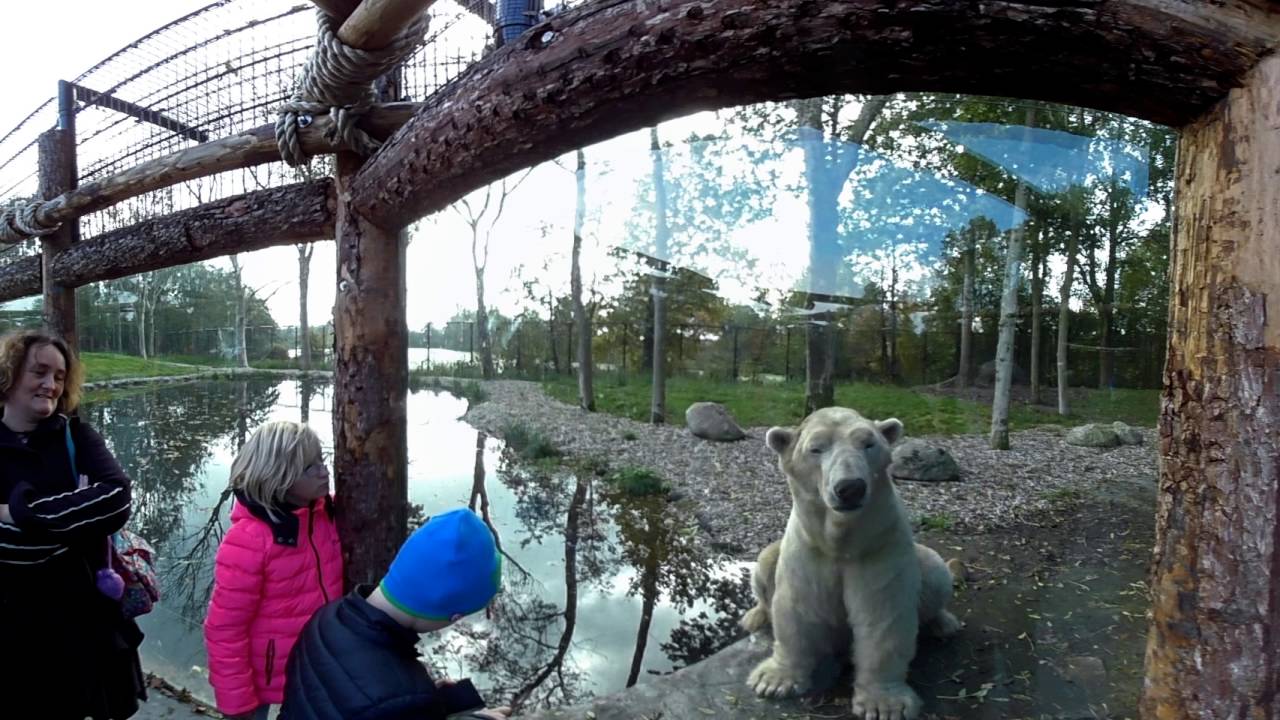 AquaZoo Friesland, Leeuwarden - YouTube