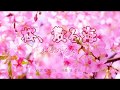 桜、散る海/松原のぶえ Cover:arakan