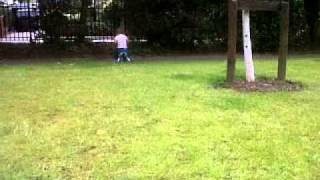 dylan's scuttlebug manoeuvres