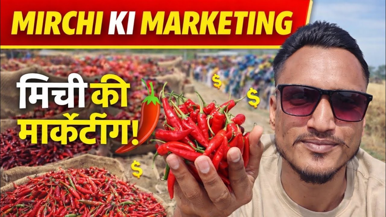 “एक दिन में कितने ऑर्डर मिले? Chambal Masala मार्केटिंग व्लॉग”