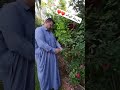 جمالية الحديقه اكتب رأيك بتعليق حديقتي حديقة بستان خضراء جمال طبيعة العراق الامارات