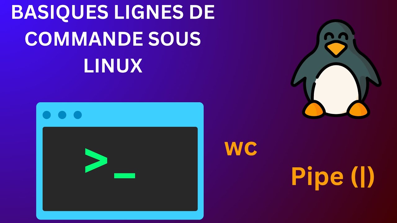 Basiques Lignes de commande sous Linux #10: wc, pipe (|)