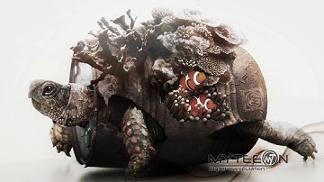 MYTEEON [ DIGITAL MANIPULATION] - TURTLE -  Photoshop