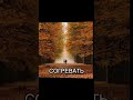 Осень #осень #осеньзолотая #autumn #октябрь #october