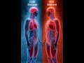 Cold Shower vs Hot Shower 🚿❄️🔥#HealthEducation #ColdShower #HotShower #BodyAwareness #Circulation
