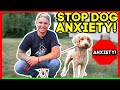 SEPERATION ANXIETY DOG TRAINING FOR FEARFUL DOODLE (TRANSFORMATION)