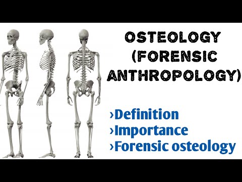 Osteology | Definition, function| Forensic Osteology