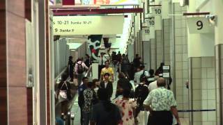 AMHEADS-20150202 1 (Output 1).mov