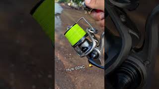Hulk DING 💪🏾🛎️#carpcasting #surfcasting #tuition #DDAWNGFishing