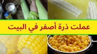 طريقة عمل الذرة الحلوة المسلوقة في البيت | عرانيس الذرة المسلوقة