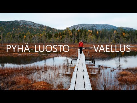 Merkkipäivän juhlistus -