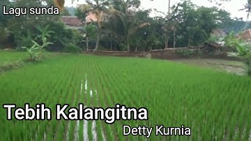 Tebih kalangitna Detty Kurnia (cover video)