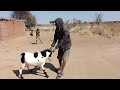 NDAMA JIGUSHILAGA SHOOKALI 25 7 2025 NDAMA JIGUSHILAGA SHOOKALI 25 7 2025