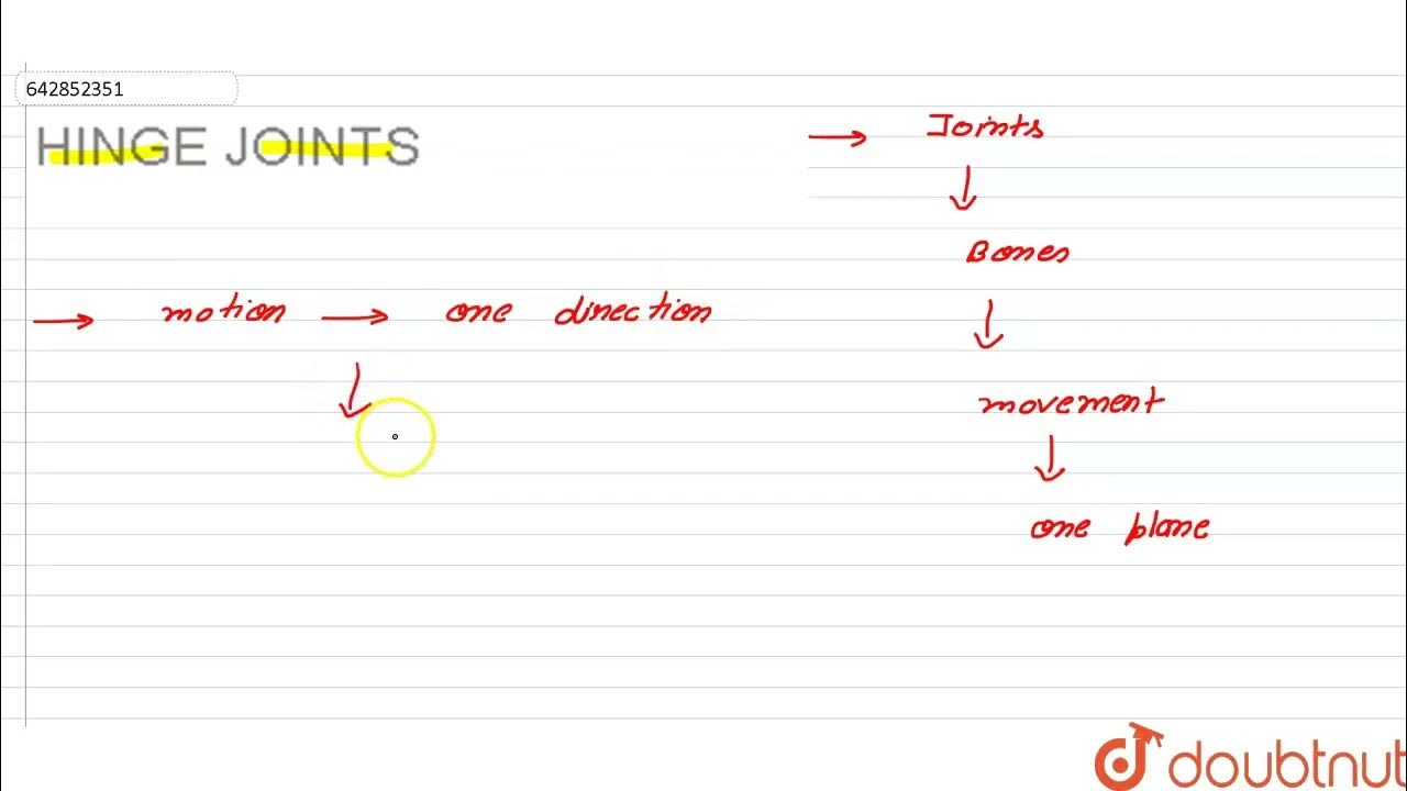 HINGE JOINTS CLASS 6 BODY MOVEMENTS BIOLOGY Doubtnut YouTube