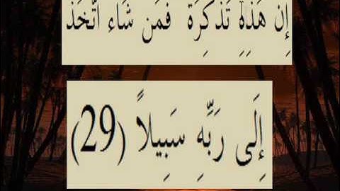 القران الكريم سورة الإنسان الاية 29