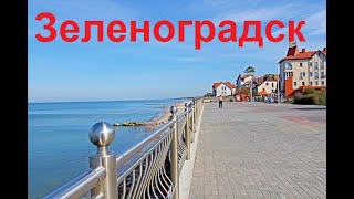 Зеленоградск город кошек.