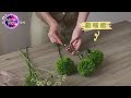 Những Bó Hoa Thật Đẹp | Hãy Xem Video Và Thư Giãn 🍀🍀🍀