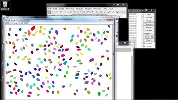 imagej用macro作分水嶺細胞分割05