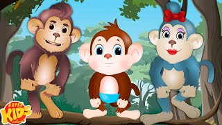 Baby Monkey Song More Kids Songs & Kindergarten Rhymes